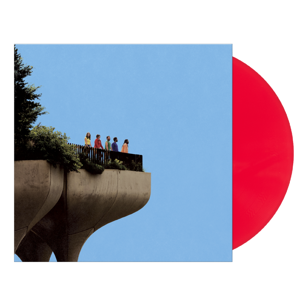 What About Flamingos? – Red Vinyl