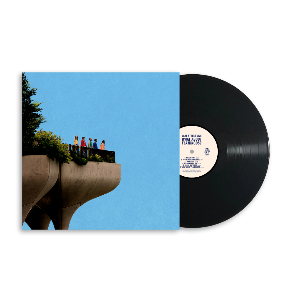 What About Flamingos? – Black Vinyl
